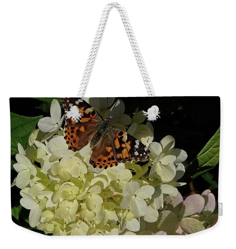 American Painted Lady Weekender Tote Bag featuring the photograph Butterfly on Hydrangea by Ronda Ryan