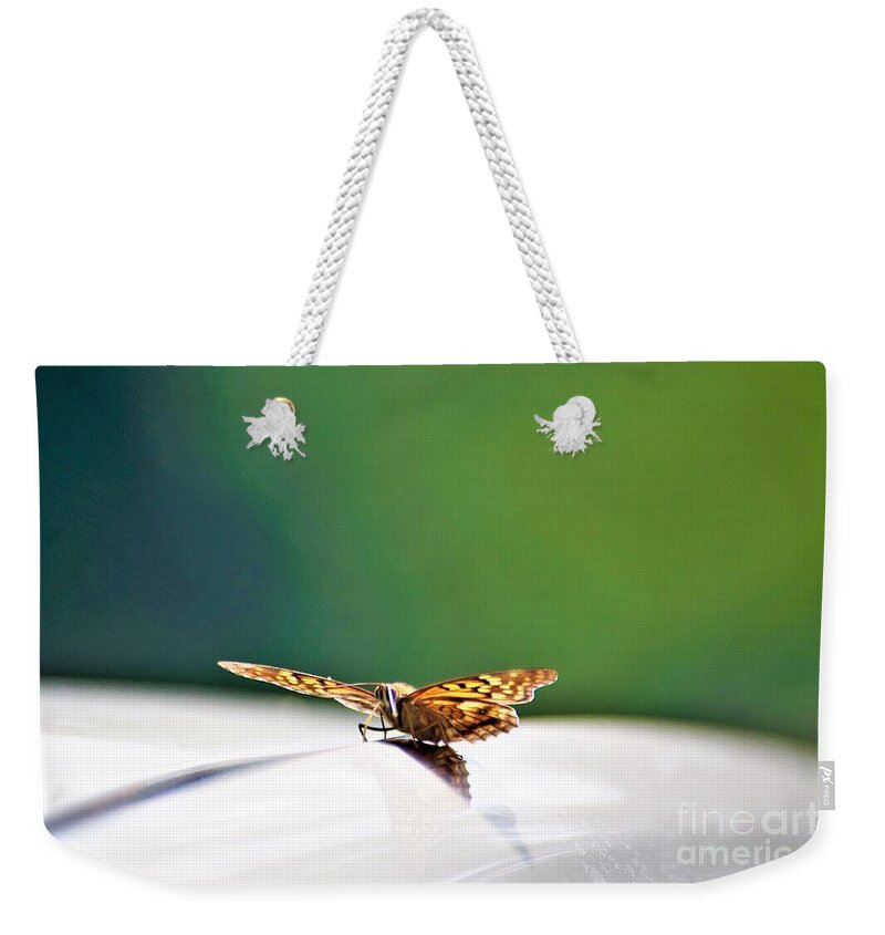 Butterflies Weekender Tote Bag featuring the photograph Butterfly on my car5 by Merle Grenz