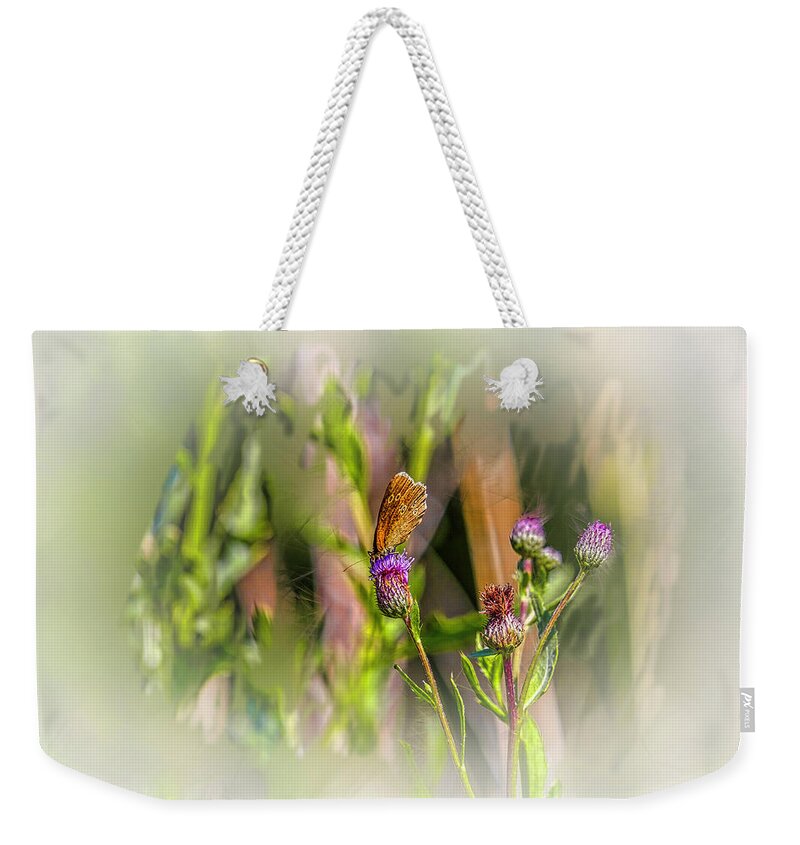 Butterfly On Thistle Bloom Weekender Tote Bag featuring the photograph Butterfly on thistle bloom @h7 by Leif Sohlman