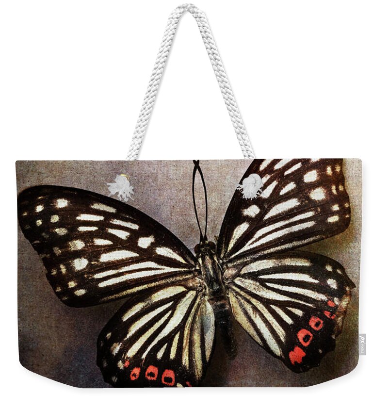 Butterfly Weekender Tote Bag featuring the photograph Butterfly over textured background by Stephanie Frey