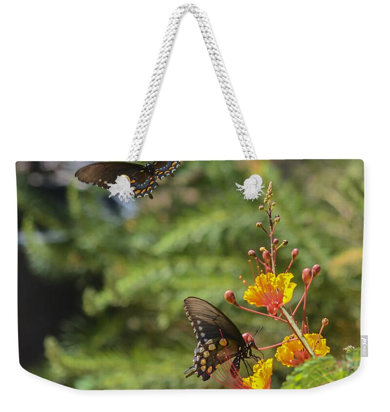 Fredericksburg Weekender Tote Bag featuring the photograph Butterfly Pas de Deux by Allen Sheffield