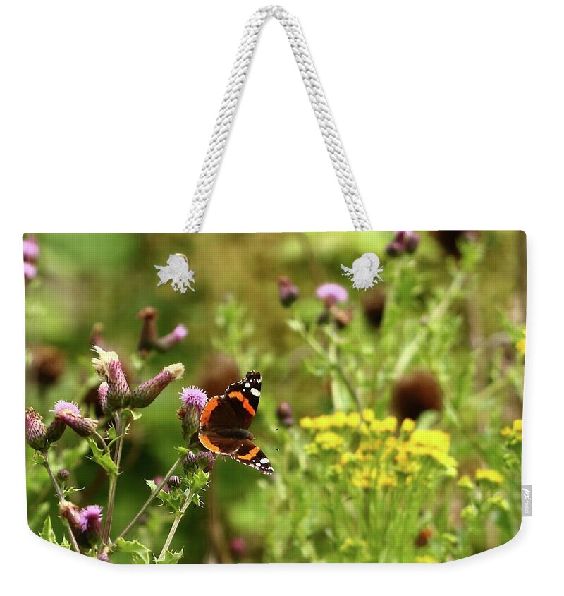 Butterfly Weekender Tote Bag featuring the photograph Butterfly Red Admiral by Jeff Townsend