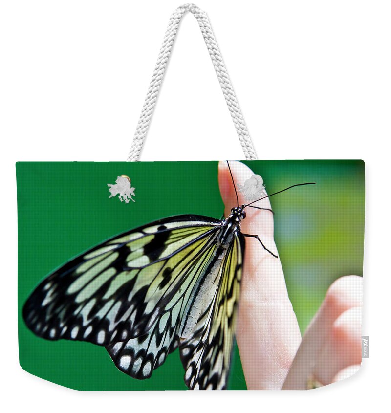 Butterfly Weekender Tote Bag featuring the photograph Butterfly Rice paper - Rice dragon by Irina Afonskaya