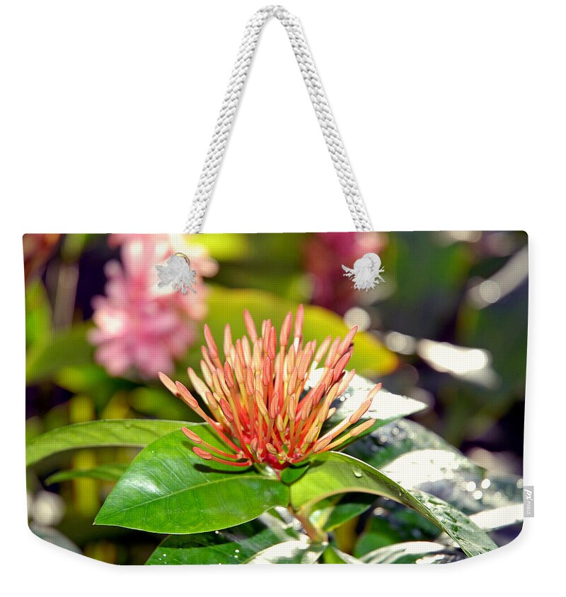 Flower Weekender Tote Bag featuring the photograph Butterfly Snack by Robert Meyers-Lussier