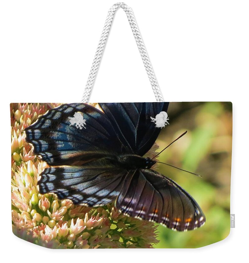Butterfly Weekender Tote Bag featuring the photograph Butterfly2 by Vijay Sharon Govender