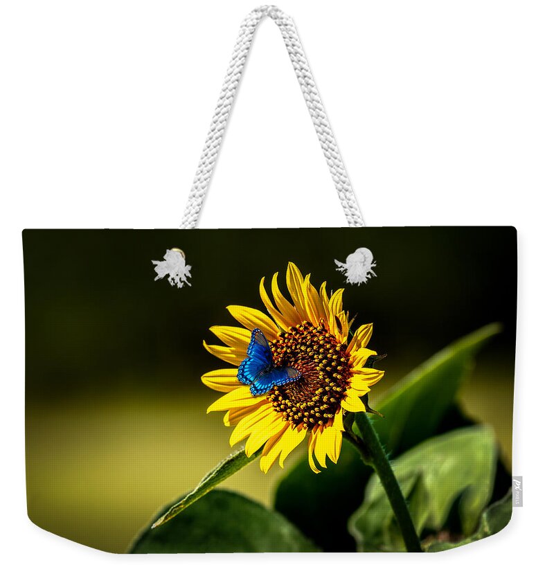 American Weekender Tote Bag featuring the photograph Butterflys-N-Flowers by Doug Long