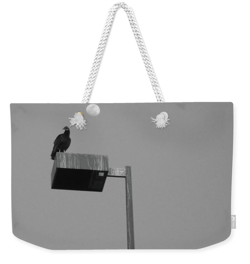 Buzzard Weekender Tote Bag featuring the photograph Buzzard's Moonlight Perch by WaLdEmAr BoRrErO