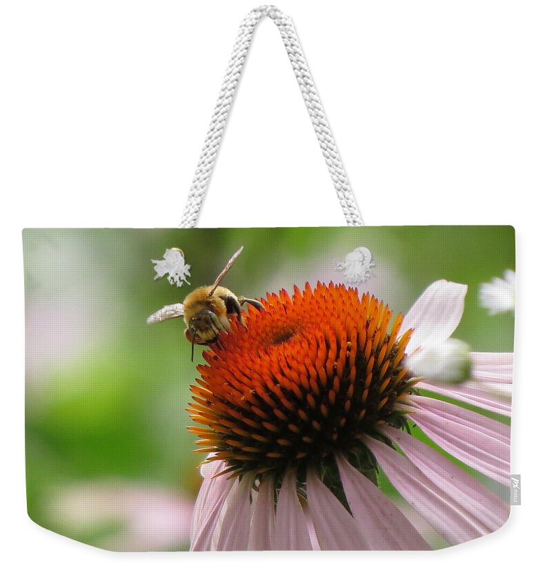  Weekender Tote Bag featuring the photograph Buzzing the Coneflower by Kimberly Mackowski