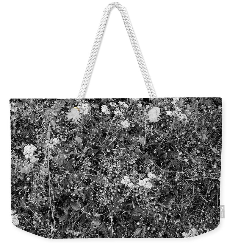 Flowers Weekender Tote Bag featuring the photograph By the Trail by Pekka Sammallahti