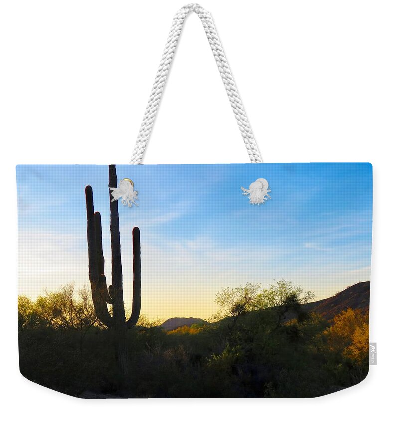 Arizona Weekender Tote Bag featuring the photograph By the Vekol Wash by Judy Kennedy