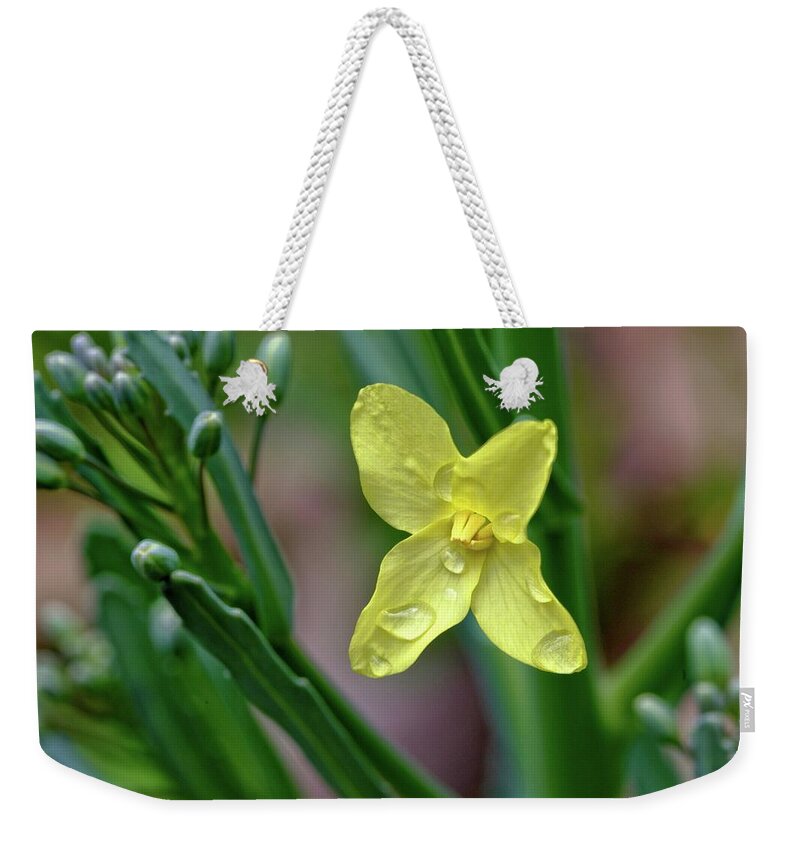 Flower Weekender Tote Bag featuring the photograph Cabbage Blossom by Ludwig Keck