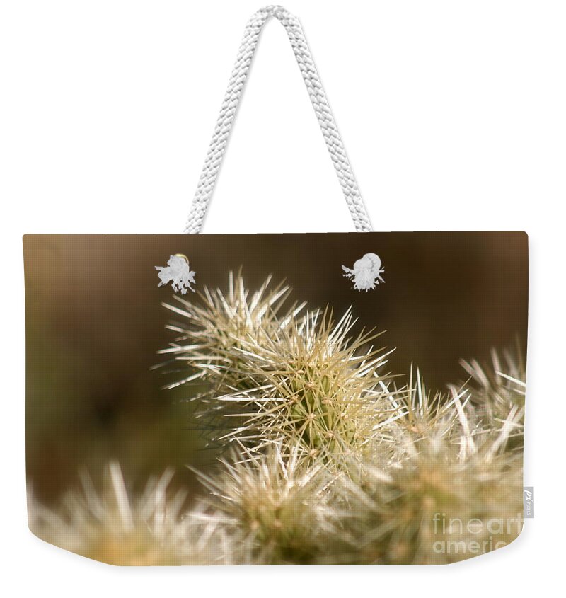 Cactus Weekender Tote Bag featuring the photograph Cacti by Nadine Rippelmeyer