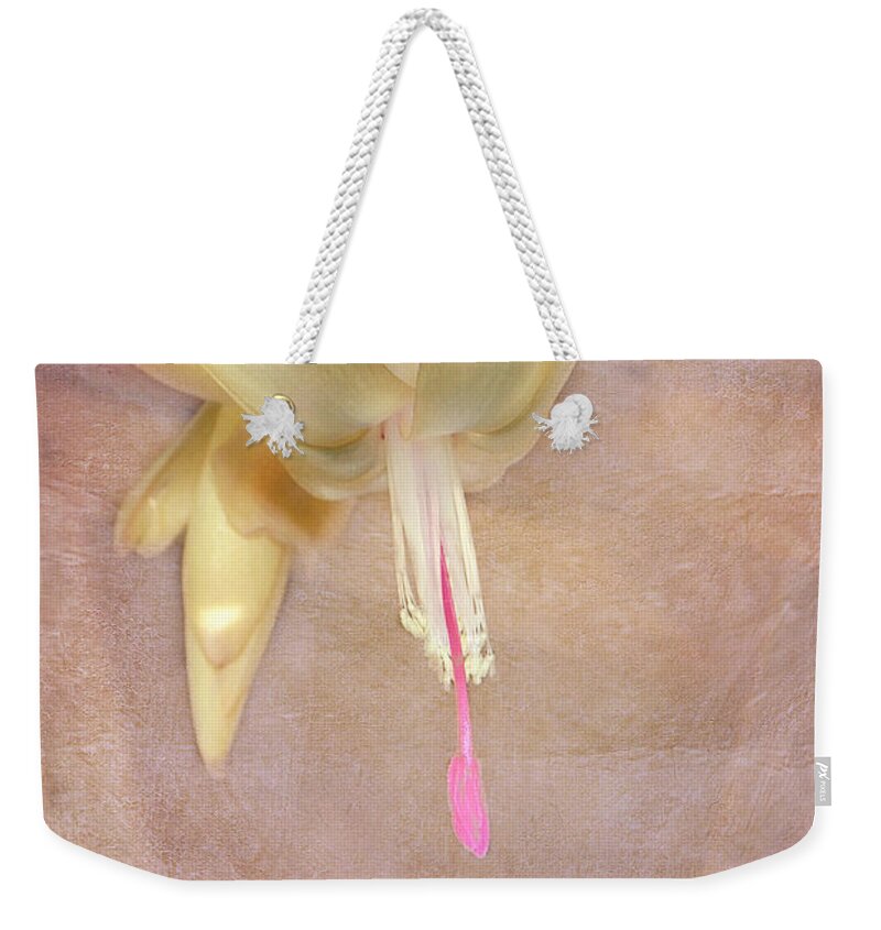 Cactus Weekender Tote Bag featuring the photograph Cactus Bloom by Judy Hall-Folde