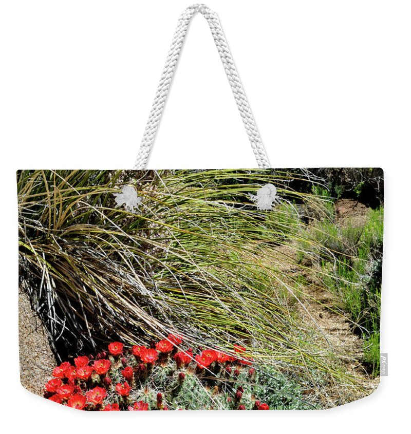 Landscape Weekender Tote Bag featuring the photograph Crimson Barrel Cactus by Ron Cline
