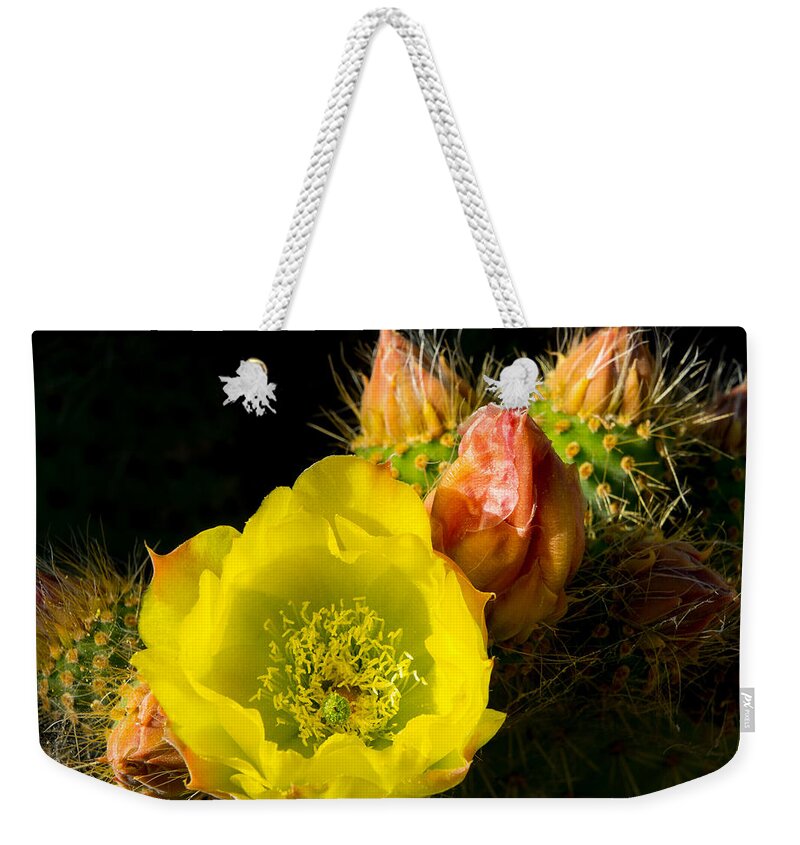 Cactus Weekender Tote Bag featuring the photograph Cactus Blossom by Derek Dean