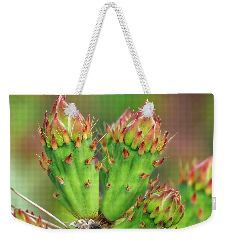 Buds Weekender Tote Bag featuring the photograph Cactus Buds h1857 by Mark Myhaver