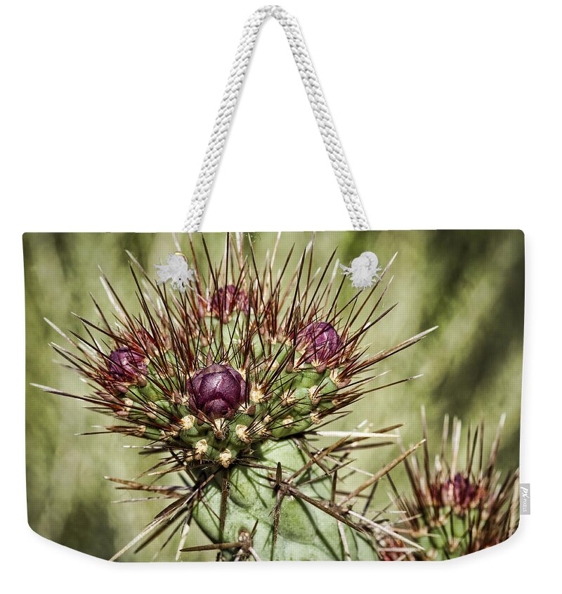 Cactus Weekender Tote Bag featuring the photograph Cactus Buds by Kelley King