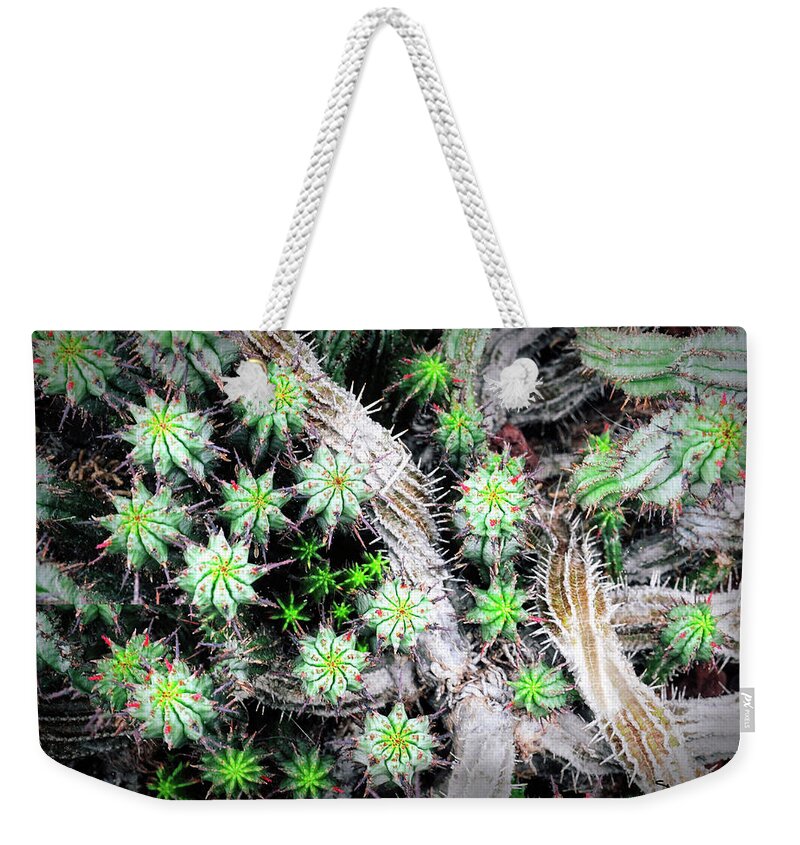 Cactus Weekender Tote Bag featuring the photograph Cactus City by Peggy Dietz