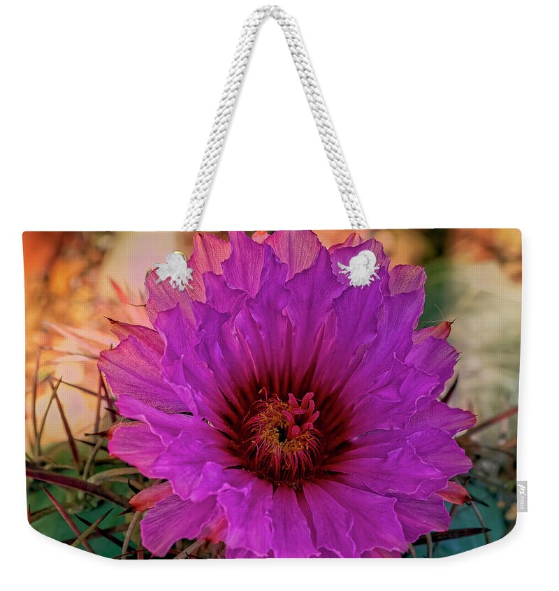 Cactus Flower Weekender Tote Bag featuring the photograph Cactus Flower h1805 by Mark Myhaver