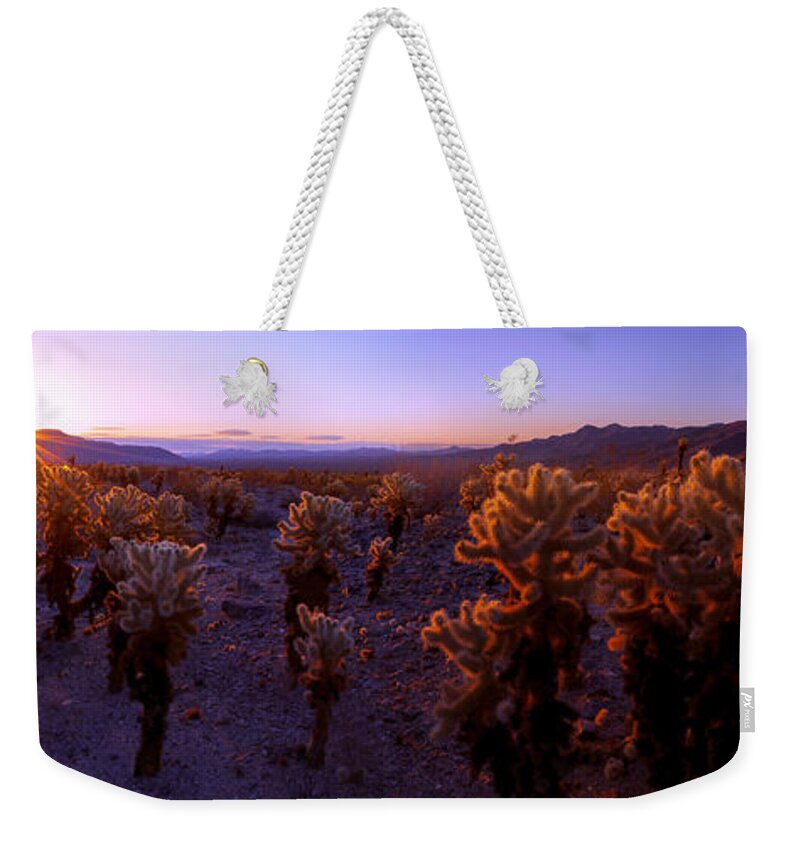 Prickly Weekender Tote Bag featuring the photograph Prickly by Chad Dutson