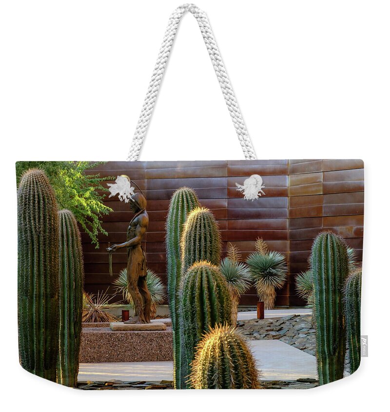 Arizona Weekender Tote Bag featuring the photograph Cactus Garden by Glenn DiPaola