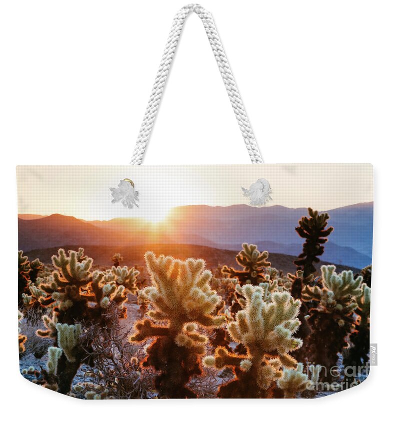Joshua Tree Weekender Tote Bag featuring the photograph Cactus garden, Joshua Tree National Park, USA by Matteo Colombo