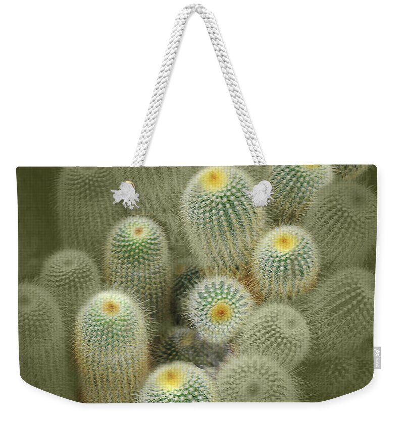 Cactus Weekender Tote Bag featuring the photograph Cactus Parade by Peggy Dietz