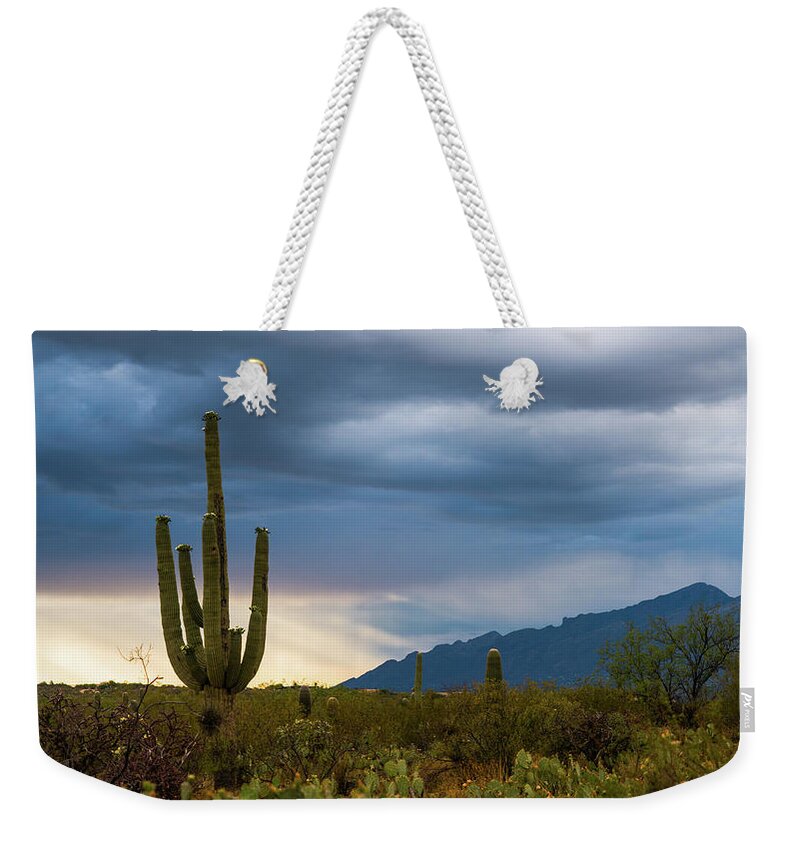 Arizona Weekender Tote Bag featuring the photograph Cactus Sunset Saguaro National Park Arizona by Lawrence S Richardson Jr