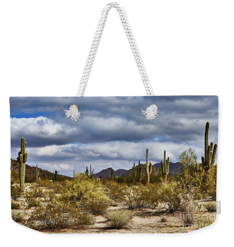 Cactus Weekender Tote Bag featuring the photograph Cactus Valley by Stanton Tubb