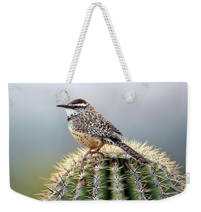 Denise Bruchman Weekender Tote Bag featuring the photograph Cactus Wren on Saguaro by Denise Bruchman