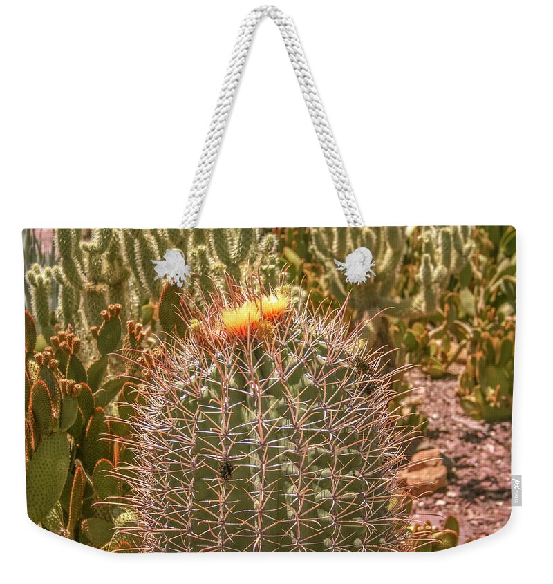 Cactus Weekender Tote Bag featuring the photograph Cactus yellowtop by Darrell Foster