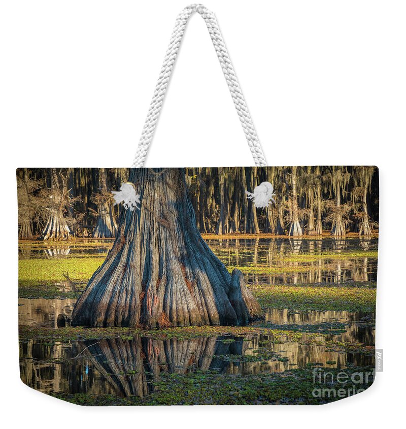 America Weekender Tote Bag featuring the photograph Caddo Cypress Trunk by Inge Johnsson
