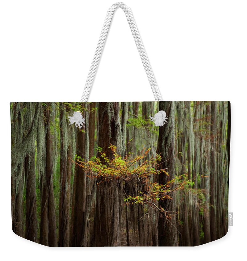 Swamp Trees Weekender Tote Bag featuring the photograph Caddo Lake #5 by David Chasey