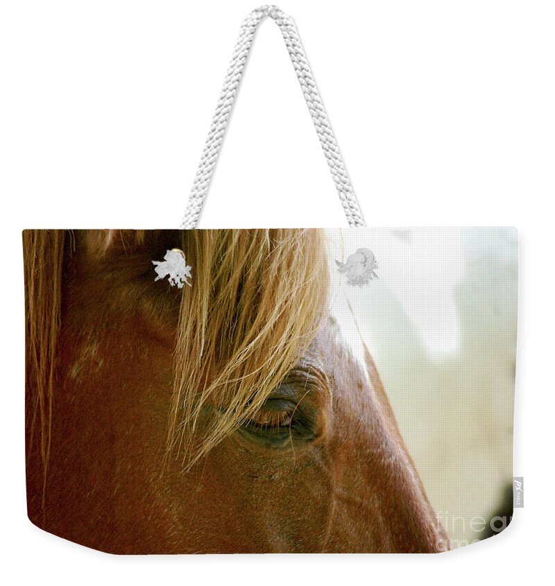 Cades Cove Weekender Tote Bag featuring the photograph Cades Cove Horse 20160525_241 by Tina Hopkins