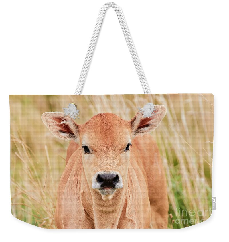 Calf Weekender Tote Bag featuring the photograph Calf in the high grass by Nick Biemans