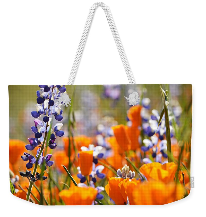 California Weekender Tote Bag featuring the photograph California Poppies and Lupine by Kyle Hanson