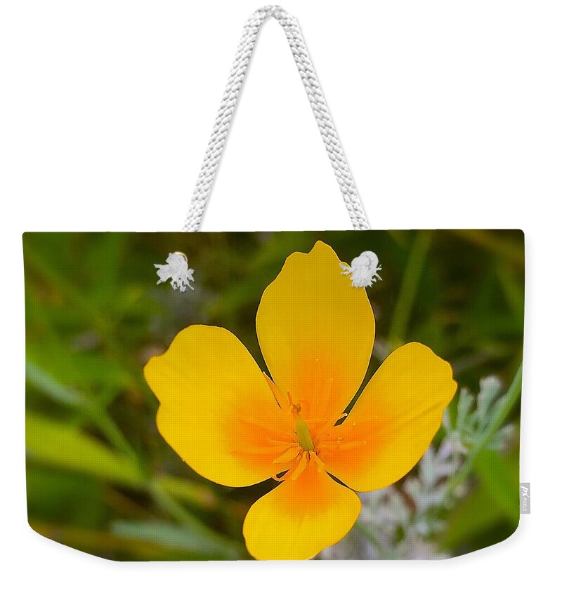 Flower Weekender Tote Bag featuring the photograph California poppy 1 by Wonju Hulse