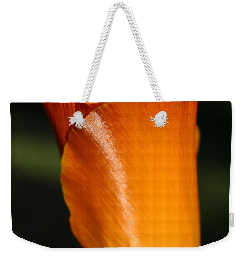 California Weekender Tote Bag featuring the photograph California Poppy by Jeff Floyd CA