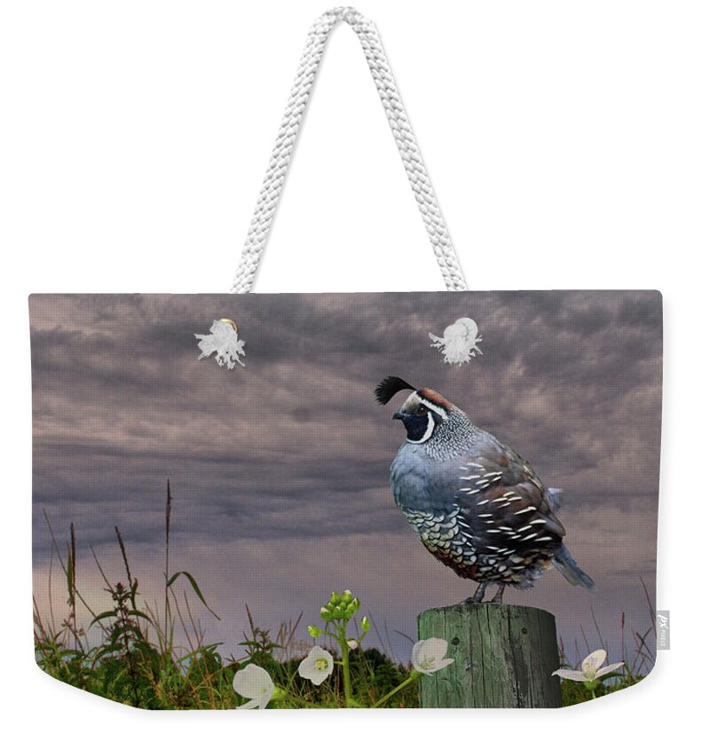 Bird Weekender Tote Bag featuring the digital art California Quail and Milkmaids by M Spadecaller