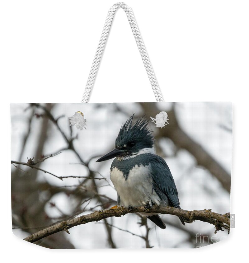 Kingfisher Weekender Tote Bag featuring the photograph Call me Spike by Michael Dawson