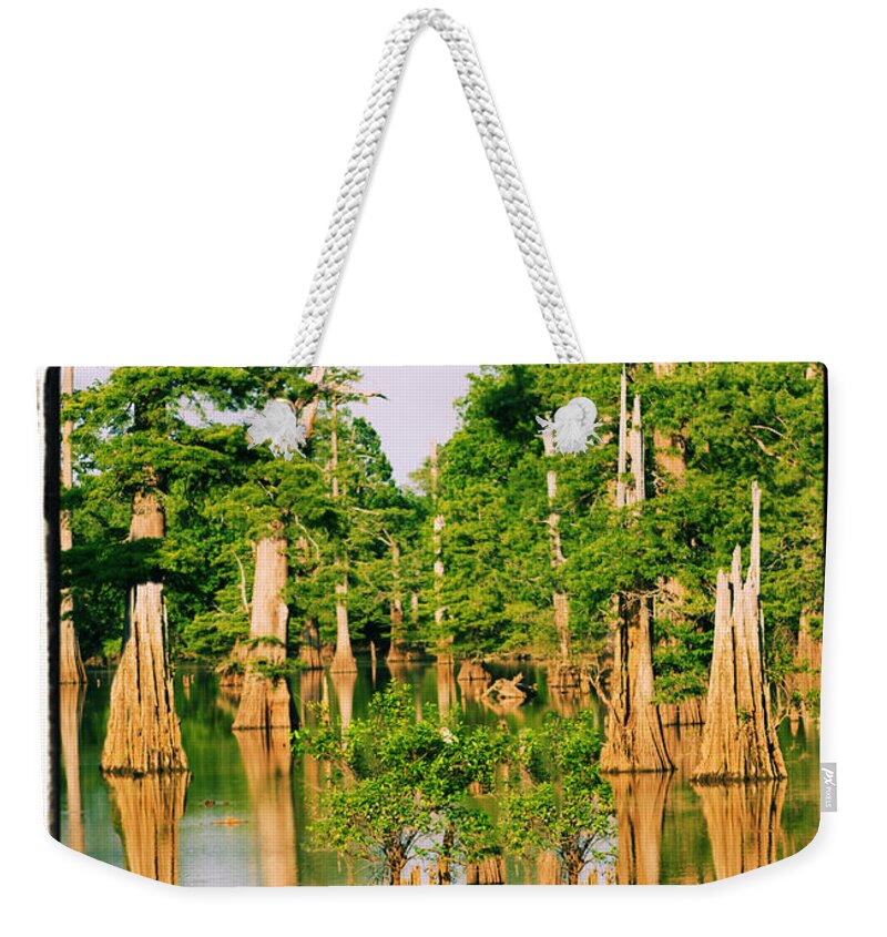 Water Weekender Tote Bag featuring the photograph Calm Bayou by Karen Wagner