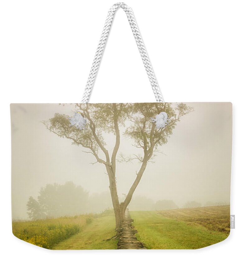 Fog Weekender Tote Bag featuring the photograph Calming Morning in the Foggy Meadow Rural Landscape Photograph by PIPA Fine Art - Simply Solid