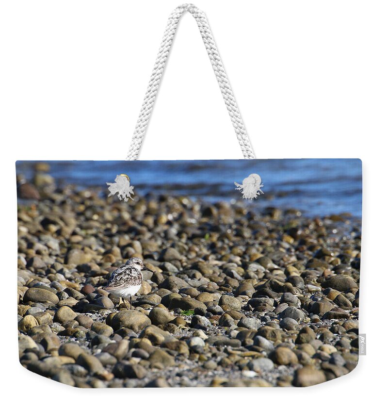 Shore Weekender Tote Bag featuring the photograph Camouflaged by William Selander