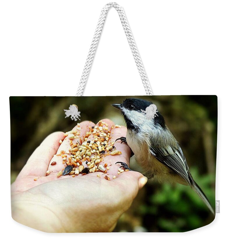 Bird Weekender Tote Bag featuring the photograph Can I have some of your seeds by Lilia S