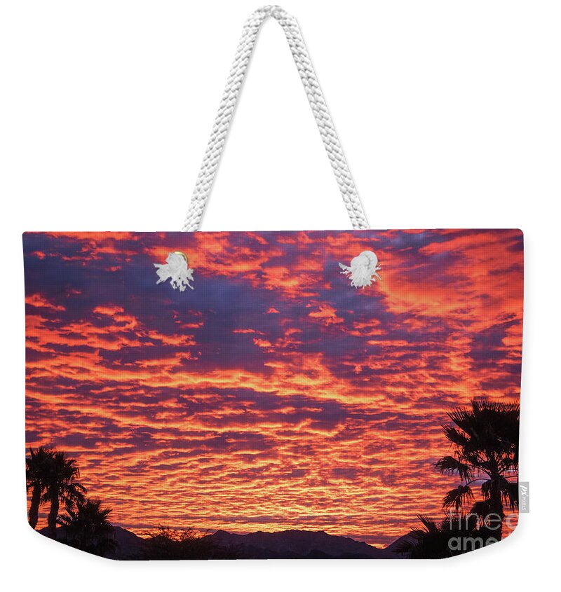 Sunrise Weekender Tote Bag featuring the photograph Can You Believe This One by Robert Bales