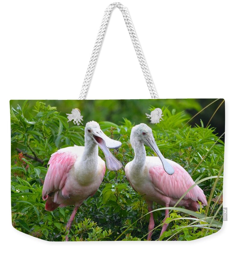Florida Weekender Tote Bag featuring the photograph Can you hear me now by Richard Bryce and Family