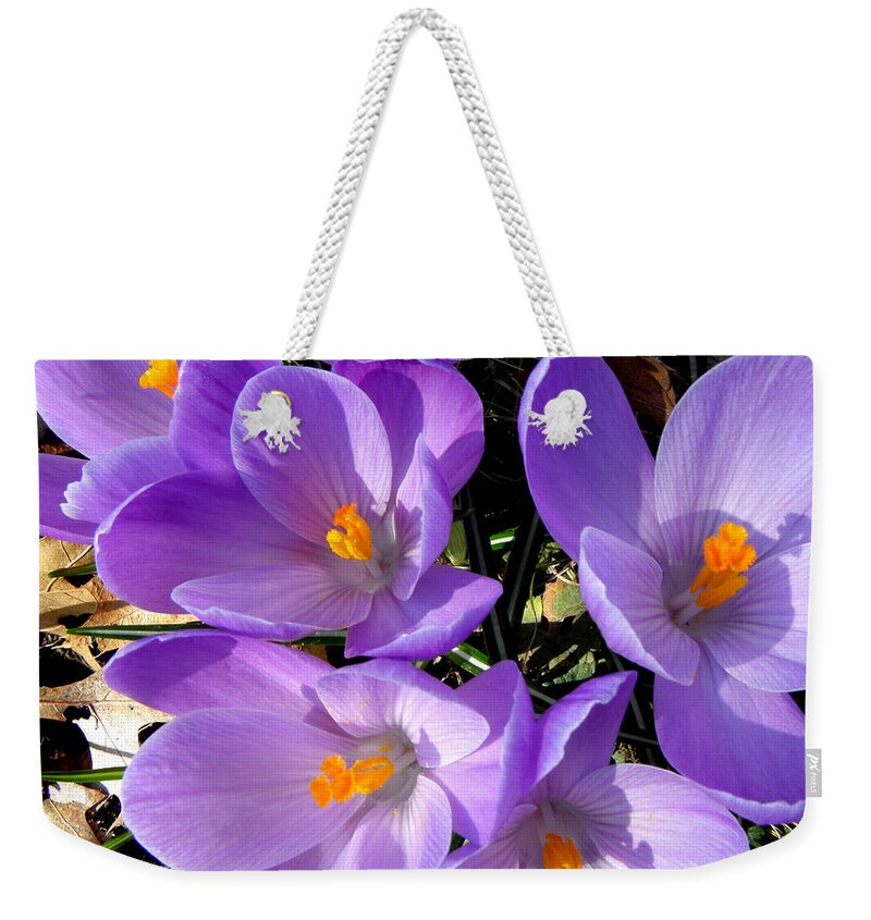 Spring Weekender Tote Bag featuring the photograph Can you say PURPLE by Kim Galluzzo Wozniak