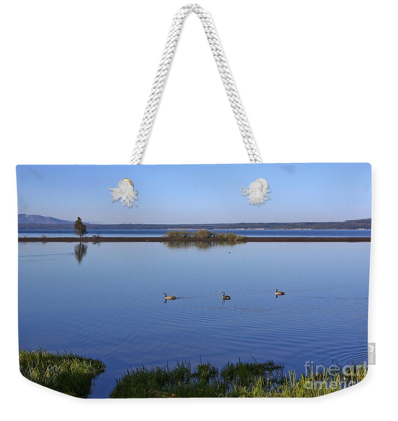 Yellowstone Lake Weekender Tote Bag featuring the photograph Canada Geese on Yellowstone Lake by Teresa Zieba