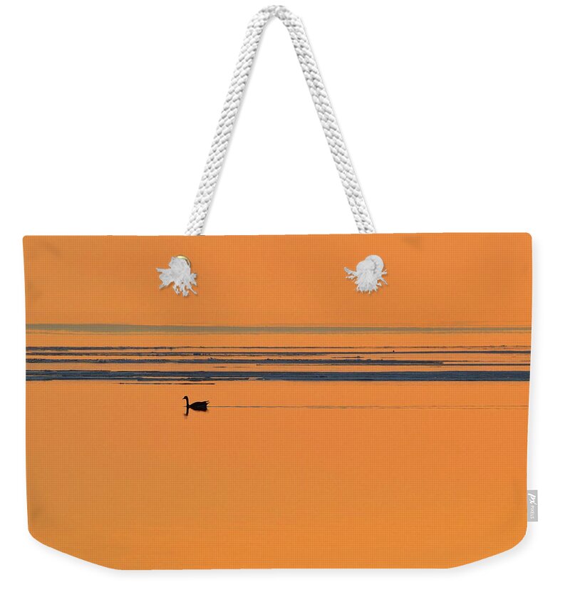 Abstract Weekender Tote Bag featuring the digital art Canada Goose Swimming With The Ice Floes by Lyle Crump