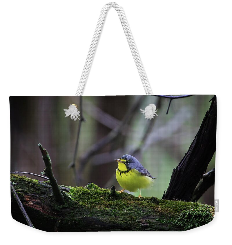 Necklace Weekender Tote Bag featuring the photograph Canada Warbler by Gary Hall